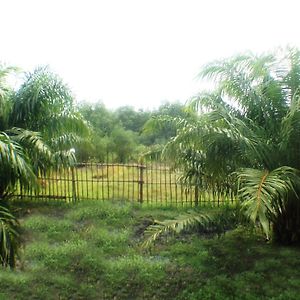 Yaoisland Resort And Farm