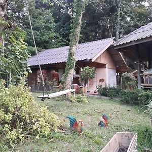Koh Kood Little Hut